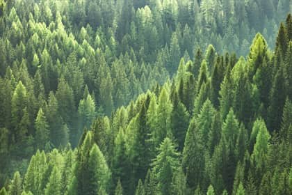 Nachhaltigkeitsberichterstattung gemäß VSME