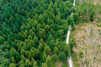 Carbon Border Adjustment Mechanism (CBAM): Beantragung der Zulassung, Erstellung des CBAM-Berichts_Uebersicht